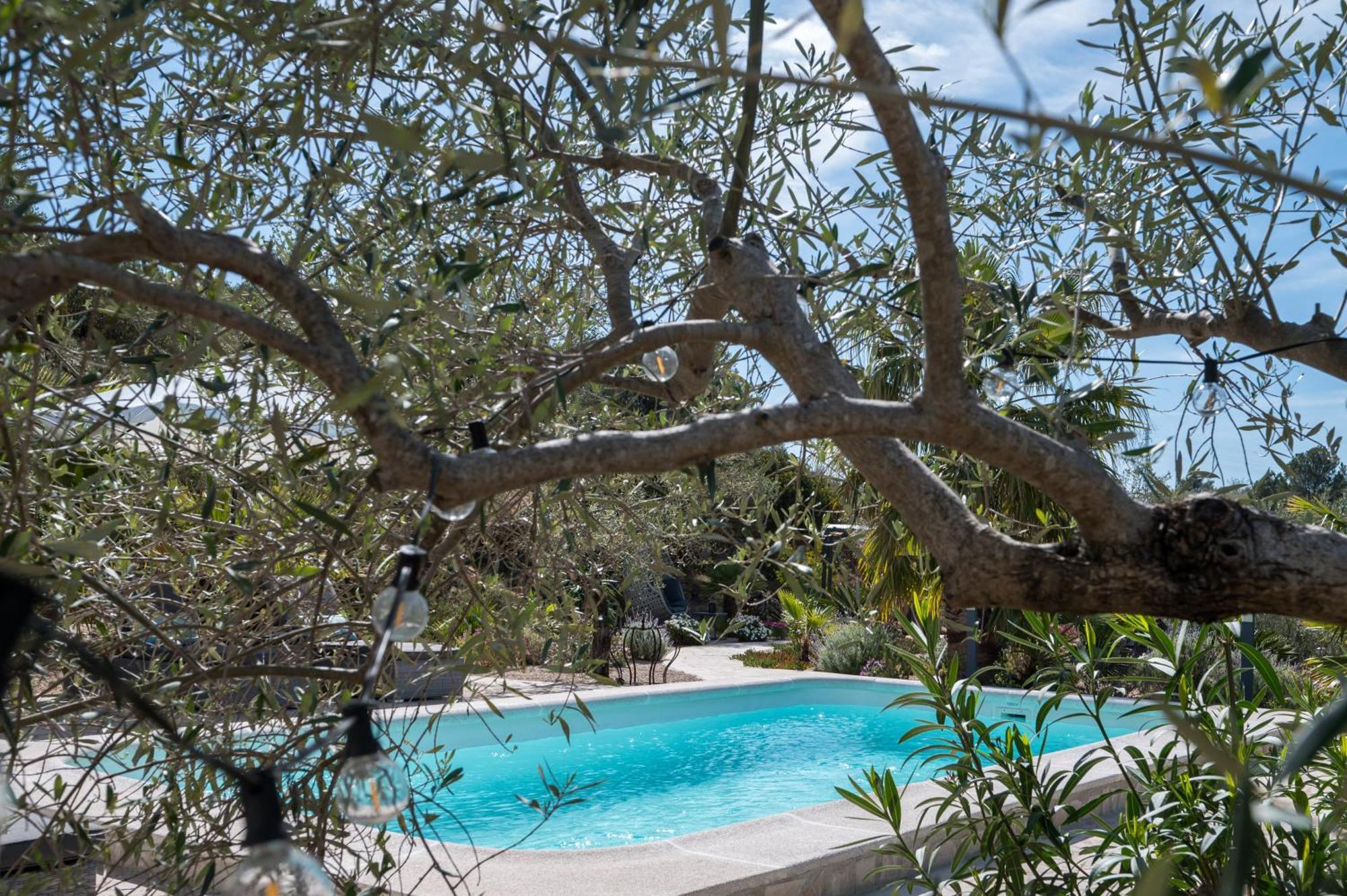 Casa De Olivos - Unique Apartments - Adult Only Traiguera Εξωτερικό φωτογραφία